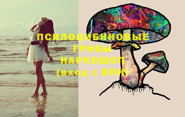 Альфа ПВП Медногорск