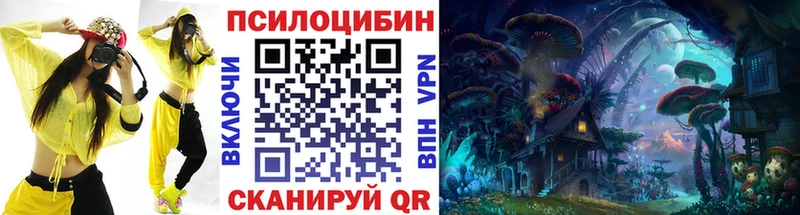 МЕГА как войти  дарнет шоп  Вилючинск  Галлюциногенные грибы ЛСД 